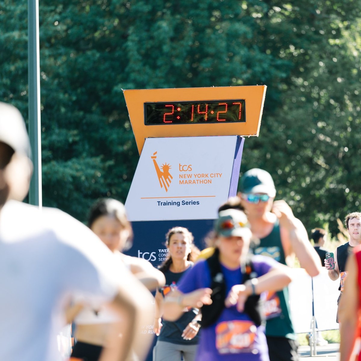 2026 TCS New York City Marathon Training Series 12M