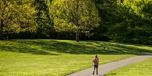 Runner in Prospect Park landscape