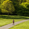 Runner in Prospect Park landscape