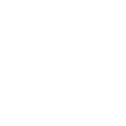 2026 United Airlines NYC Half logo
