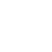 2026 RBC Brooklyn Half logo