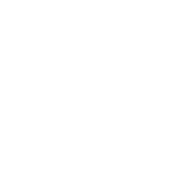 Citizens Queens 10K logo