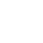 Abbott Dash to the Finish Line 5K logo