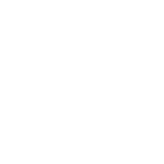 NYRR Midnight Run Logo