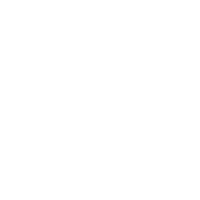 SIH - Staten Island Half