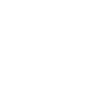 SLS Brooklyn