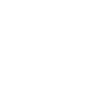 RBC Brooklyn Half