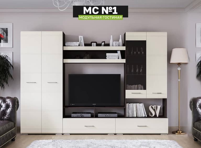 МС №1