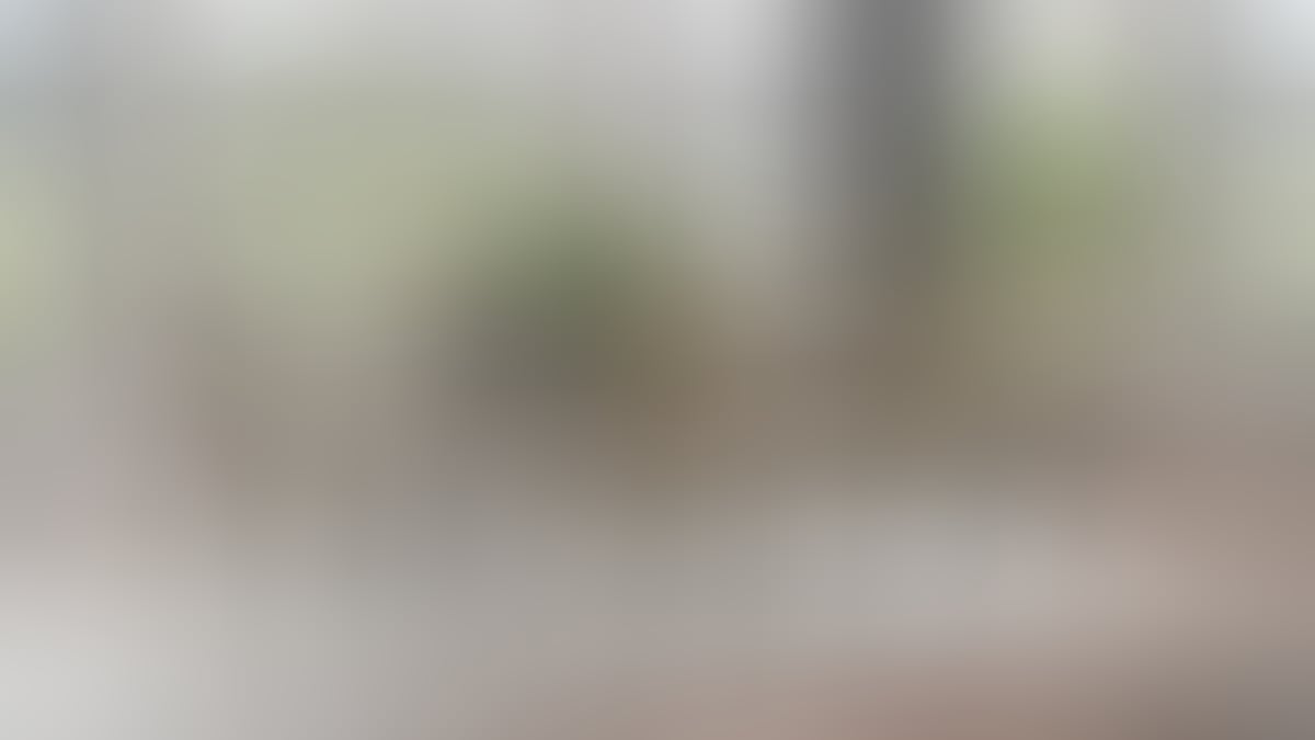 Ovqat stolining o‘lchamini xona va kundalik hayot ritmiga mos qanday tanlash kerak