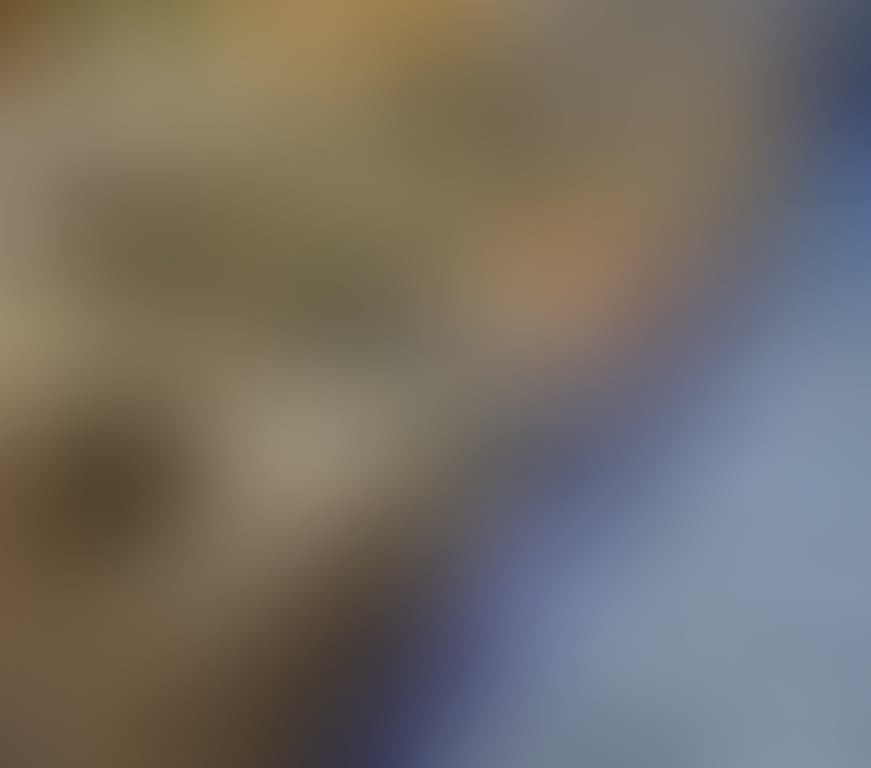 1117