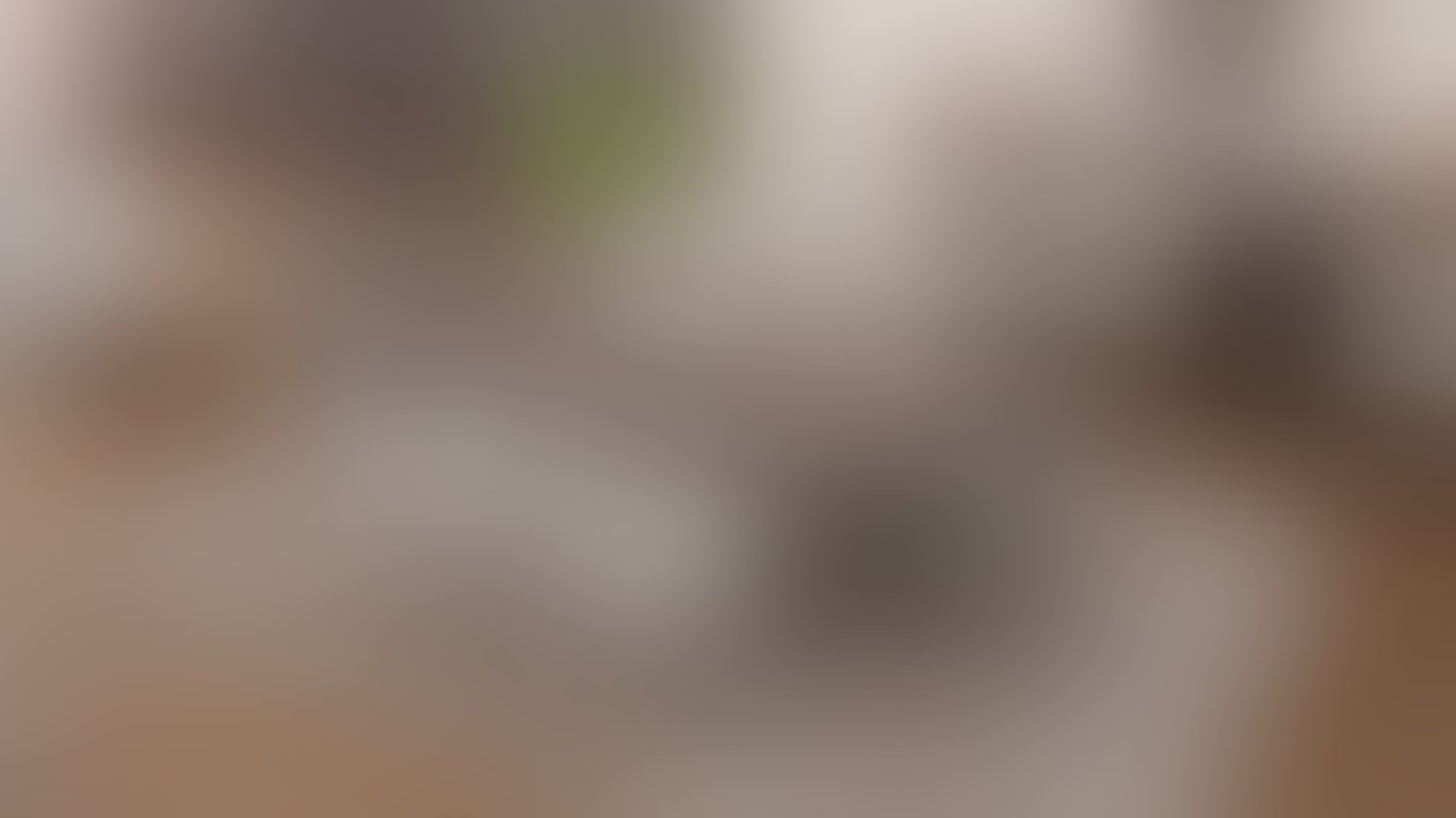 Современная обеденная зона в спокойной природной палитре