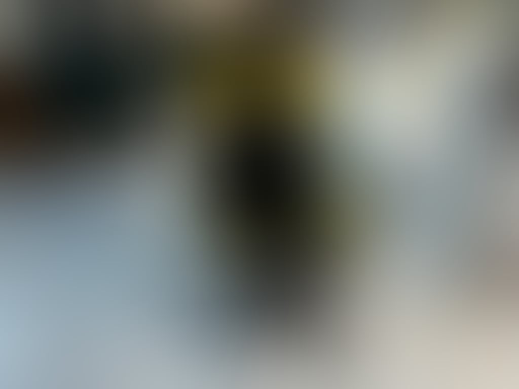 GAME 16