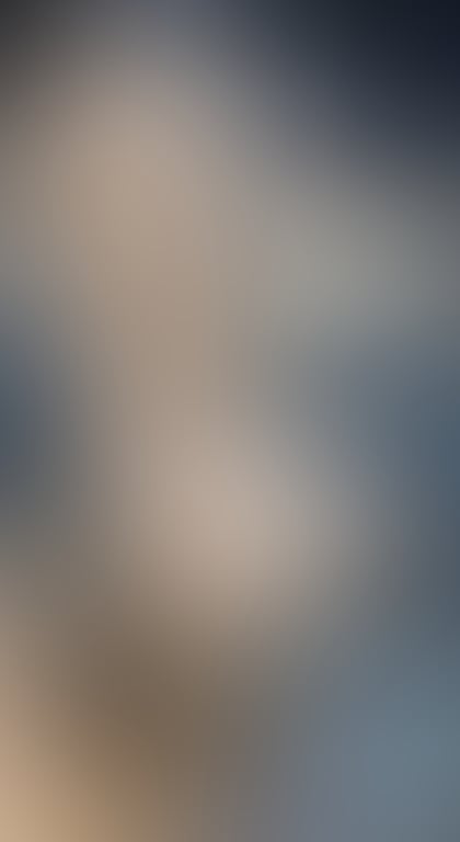 031