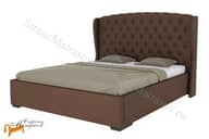 Dario Grace Lite 2