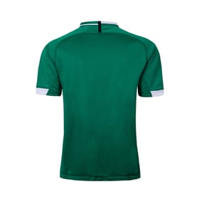 Men's Ireland RWC 2019 Canterbury Shirt