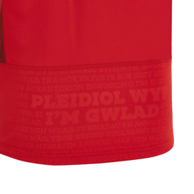 Men's Wales Rugby 2023 Home Shirt