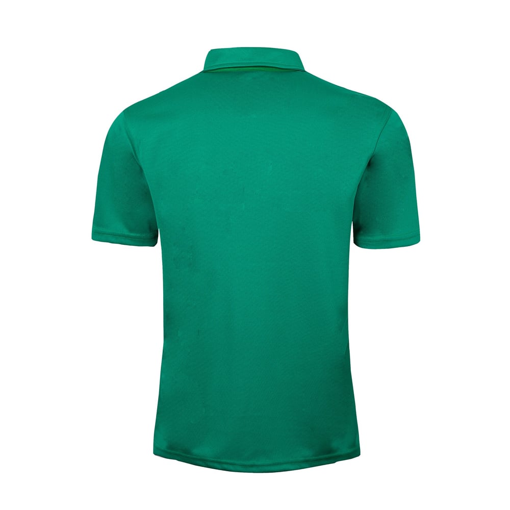 Men's Ireland 2019 Canterbury Polo Shirt