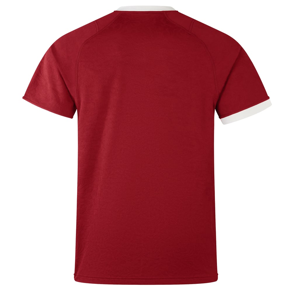 Men's British & Irish Lions 2025 Shirt