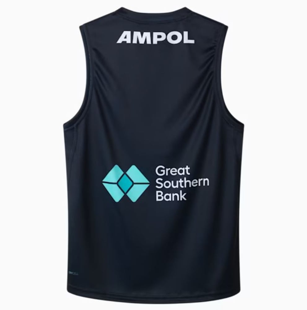 Men's Carlton Blues 2025 Home Guernsey