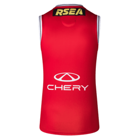 Men's St Kilda Saints 2025 Third Clash Guernsey