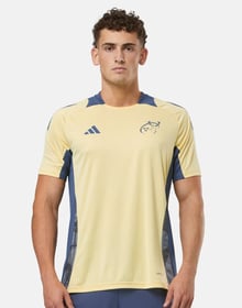 Men's Munster 2024/25 Third Performance Shirt