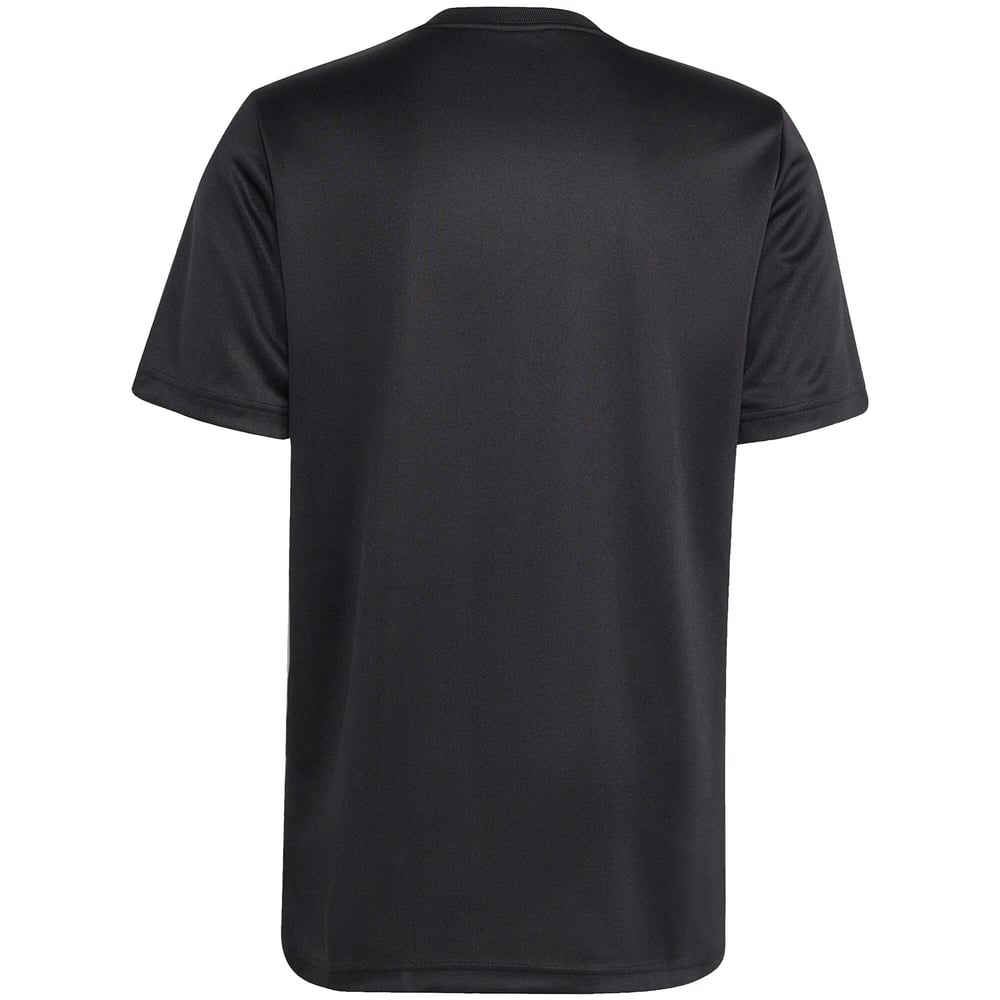 Men's New Zealand All Blacks 2025/26 Third Supporter Shirt