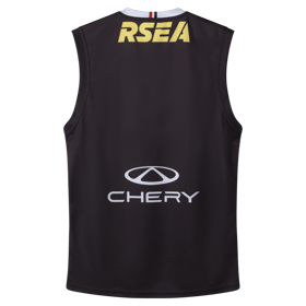 Men's St Kilda Saints 2026 Home Guernsey