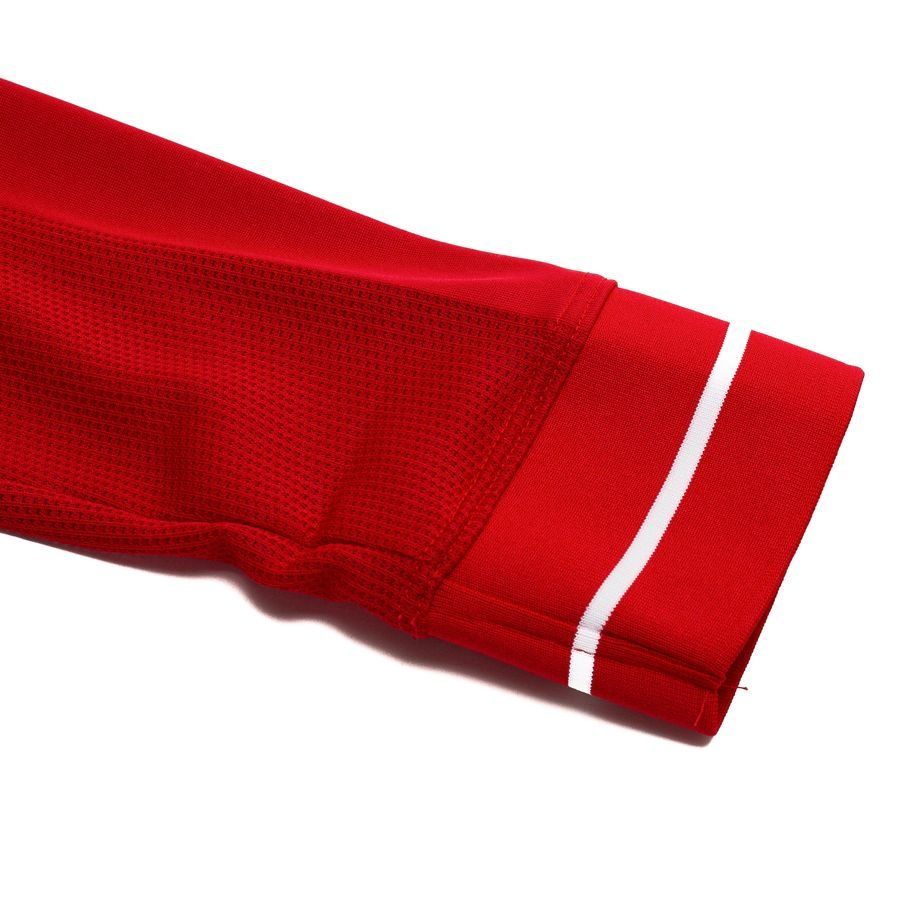 Herren Dänemark 2026 Heim Weltmeisterschaft Langarmtrikot