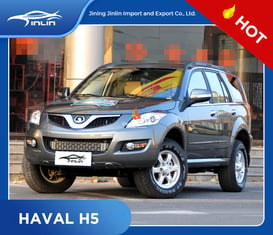  2010 HAVAL H5