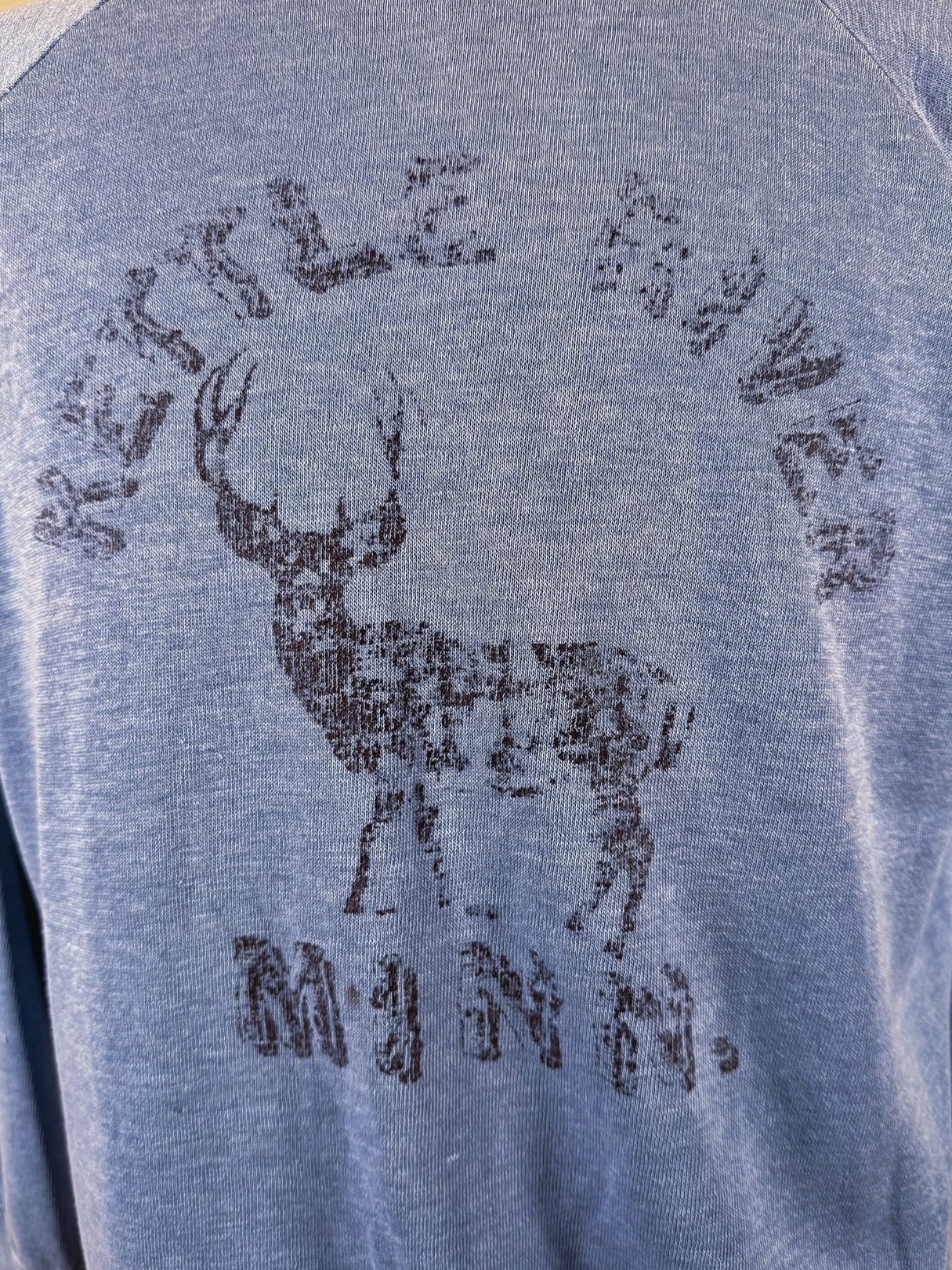 Blue vintage 1970s sweatshirt for men featuring a graphic of a deer and the text "Kettle River Minn." on the back.