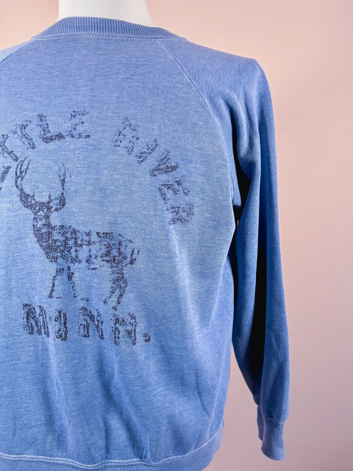 Blue vintage 1970s men's sweatshirt featuring a graphic of a deer.