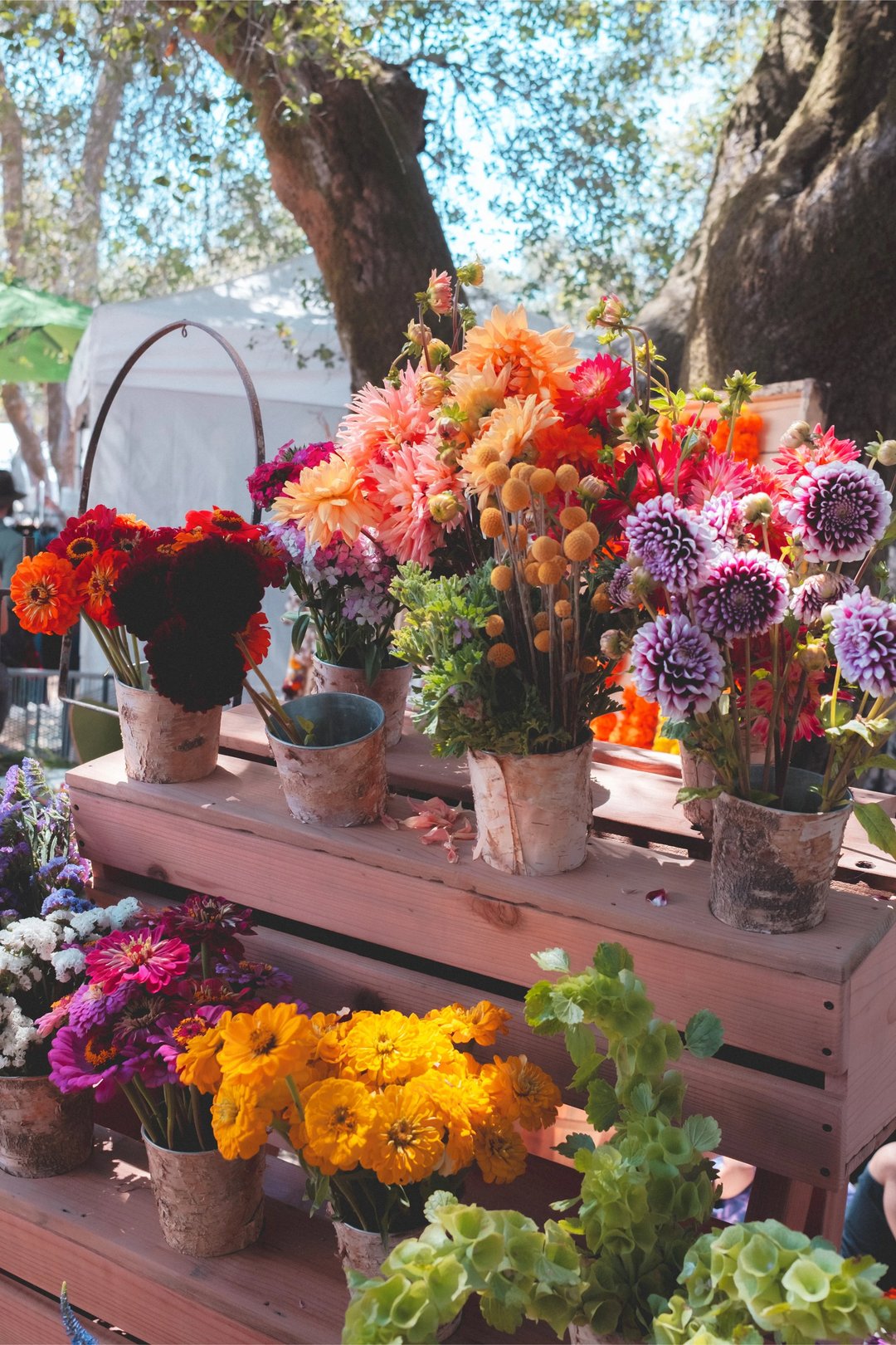 Assorted colorful flowers in pots displayed on wooden shelves at an outdoor market.