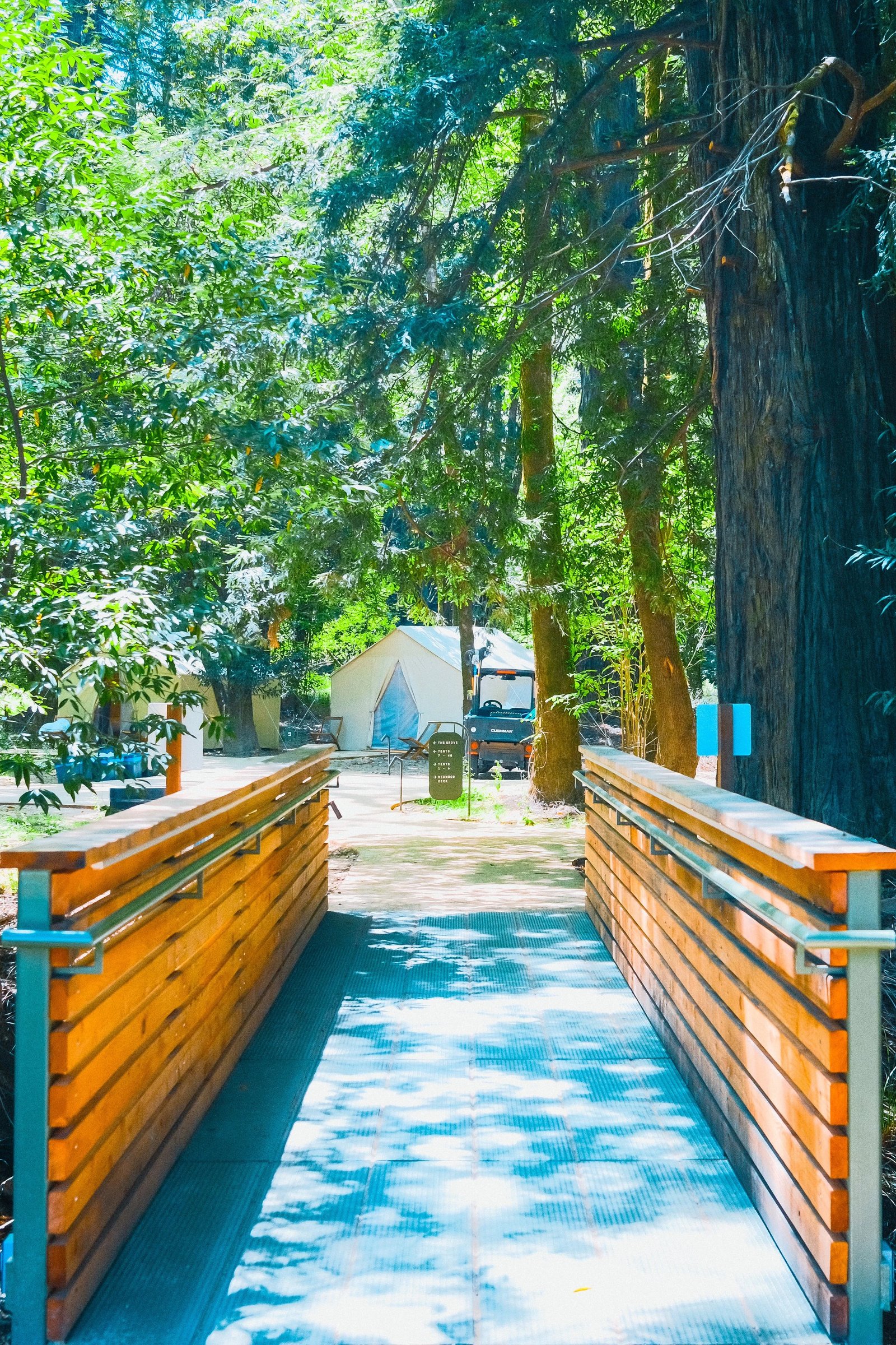 A wooden bridge leads into a lush campsite surrounded by tall trees.