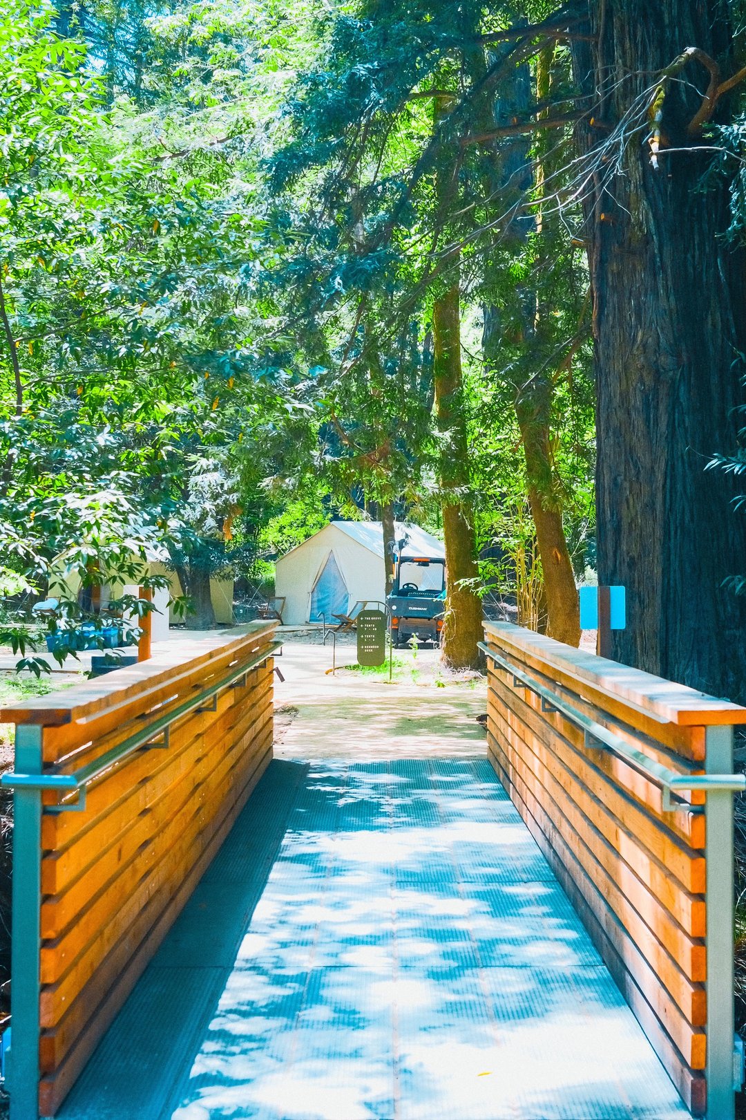 A wooden bridge leads into a lush campsite surrounded by tall trees.