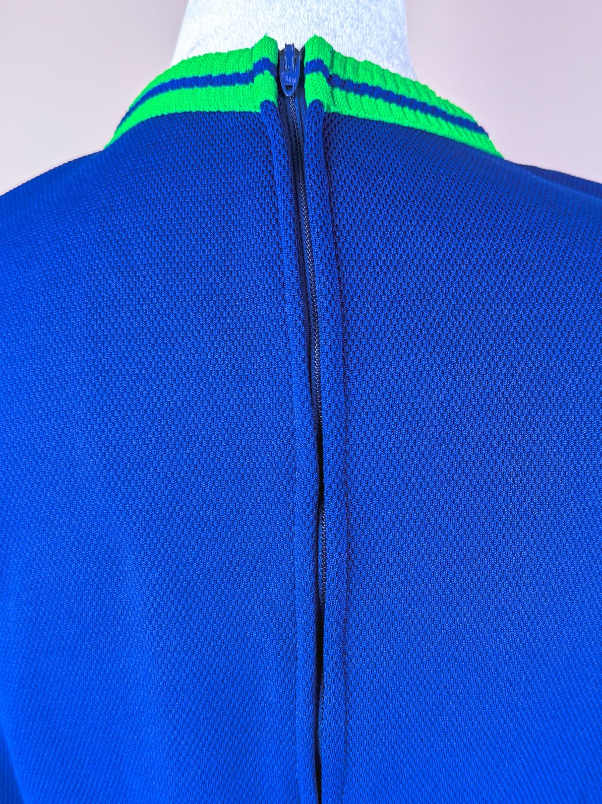 Back view of a 1970s women's Pacific Lines Dress in blue with a green striped collar and a zipper closure.