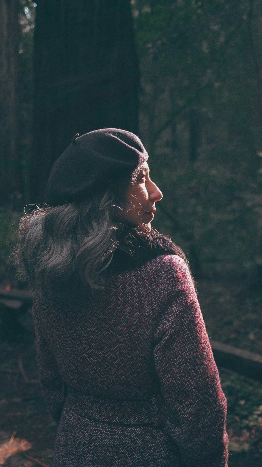 A woman with long gray hair and a black beret stands in profile, wearing a textured coat, with soft sunlight illuminating her face against a dark background.