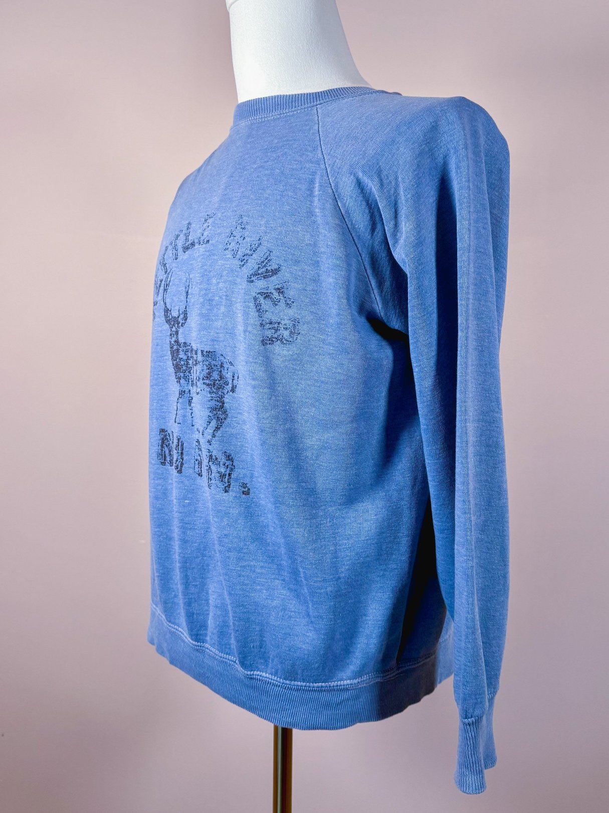 Blue men's sweatshirt from the 1970s featuring a graphic print of "Kettle River Minn." and a deer design.