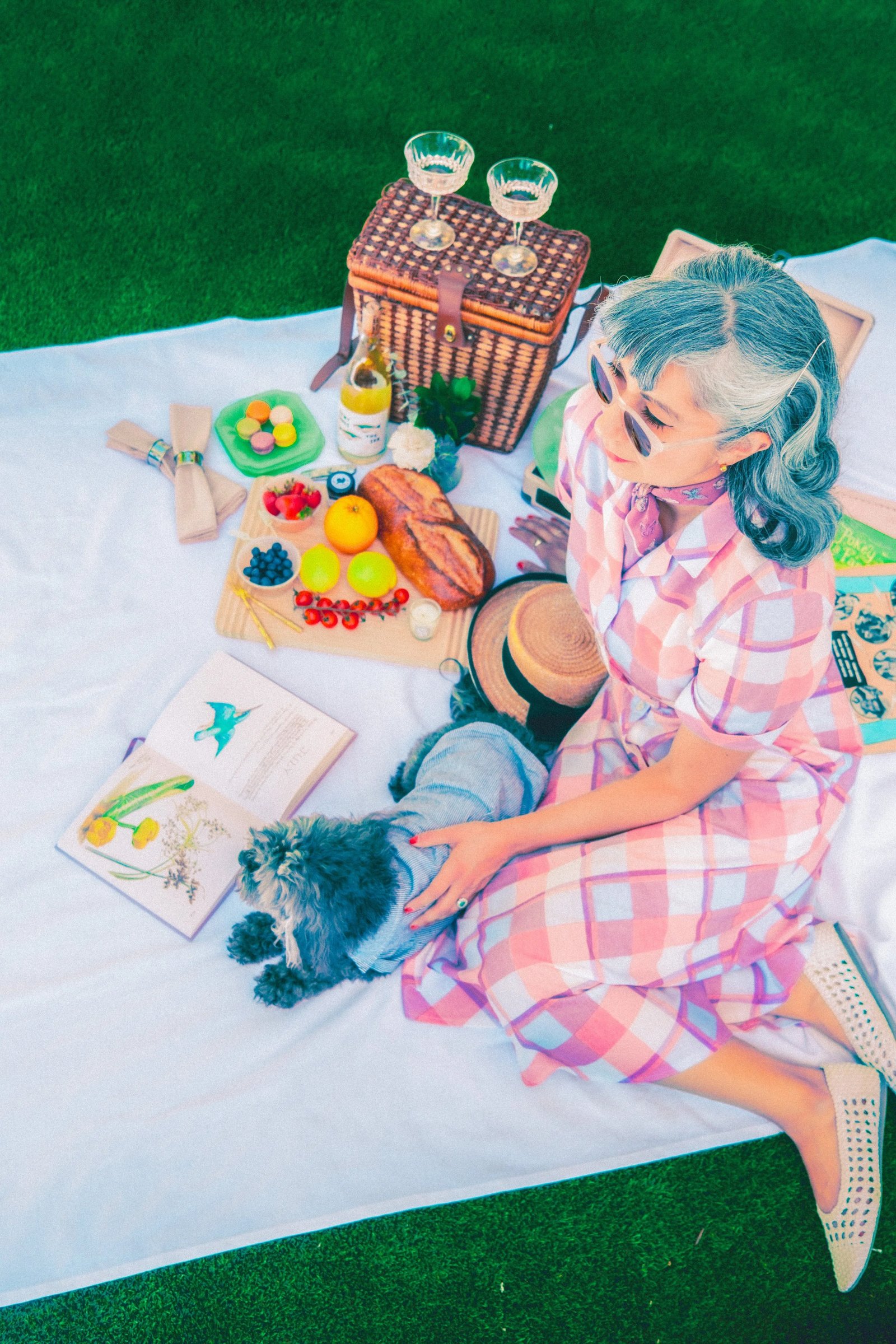 A woman in a pink checkered dress sits on a blanket with a picnic basket, food, and a small dog while reading a book in a green outdoor setting.