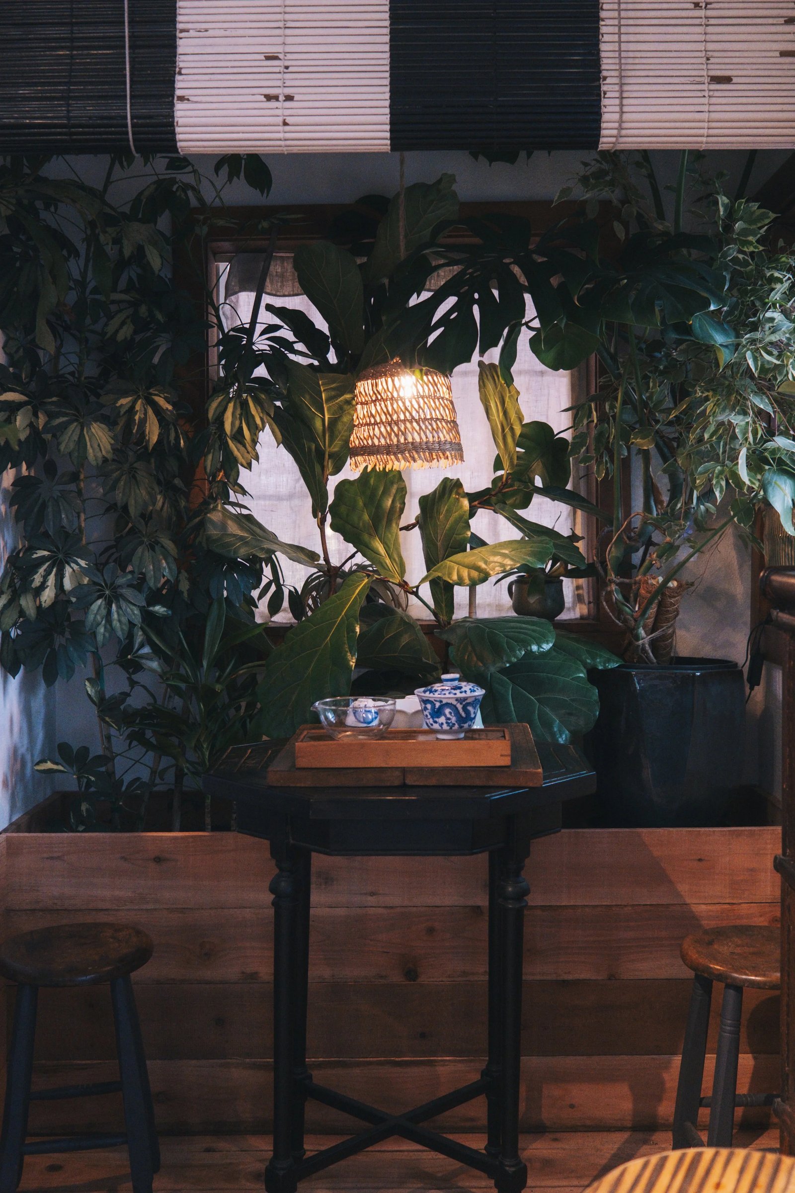 A cozy indoor setting featuring a small table with a wooden tray, decorative tea cups, and lush green plants under soft lighting.