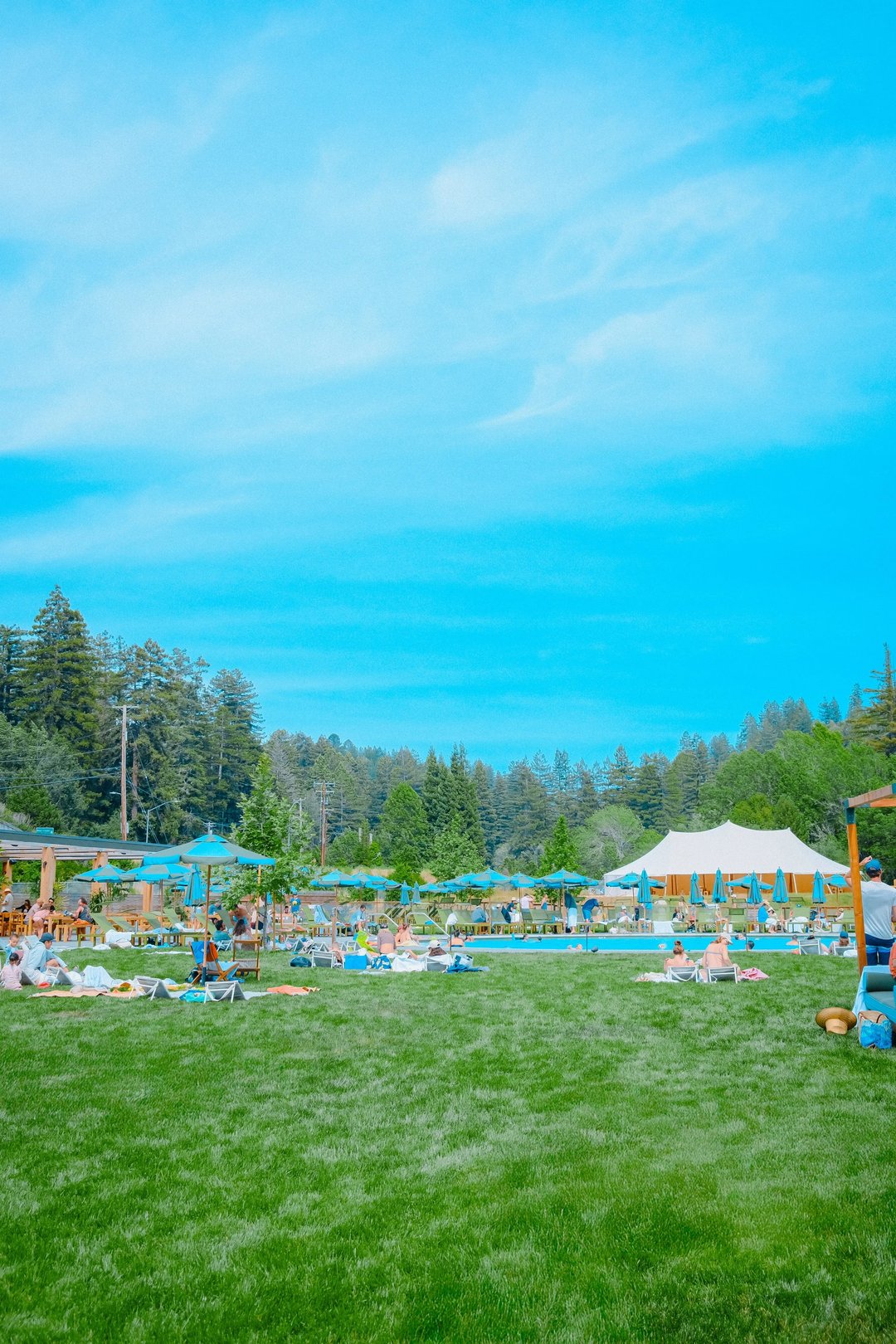 A sunny outdoor resort scene featuring a large pool surrounded by lounge chairs, umbrellas, and lush greenery.