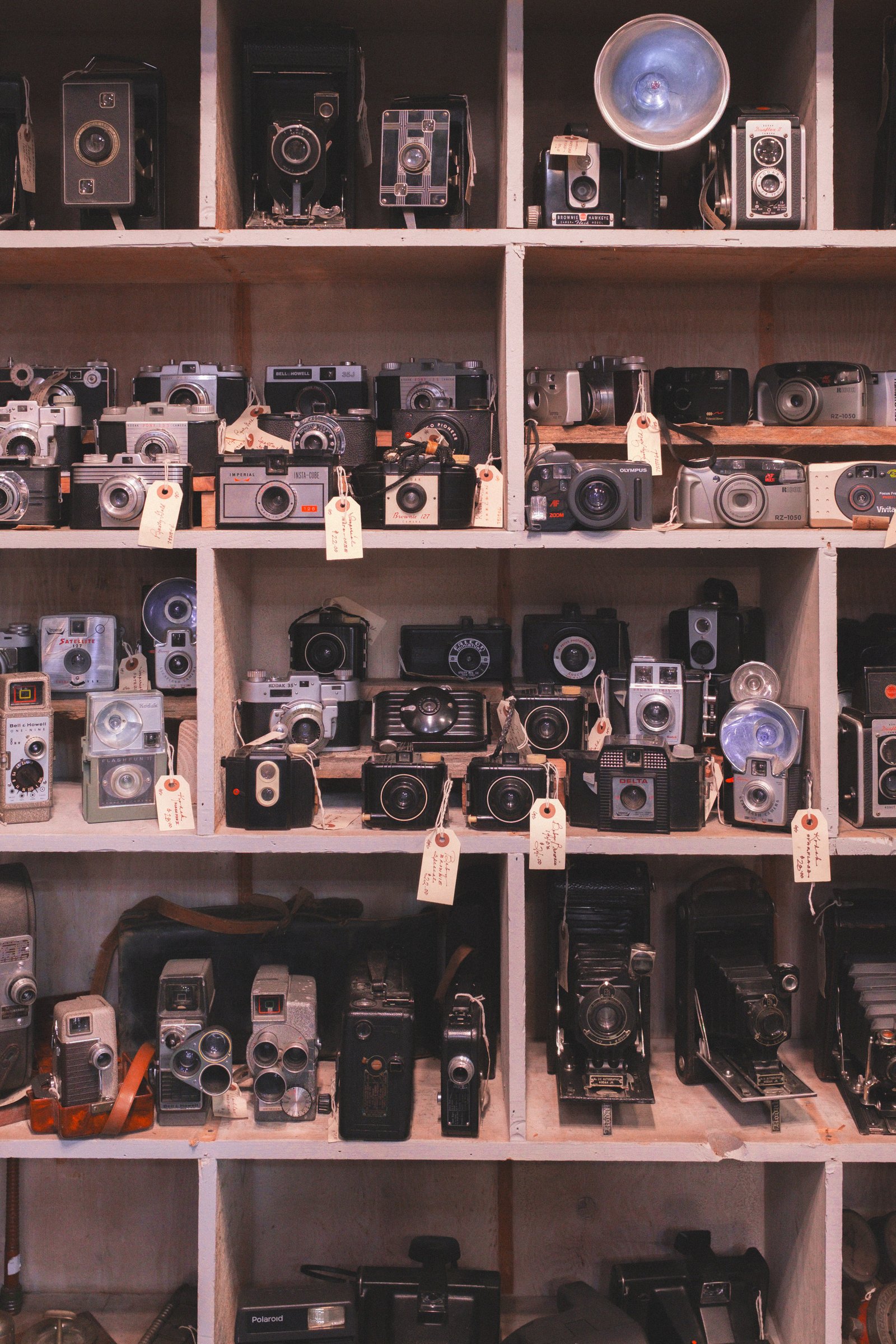 Sheet Music Stories gallery image: A collection of vintage cameras displayed on shelves, each labeled with tags detailing their features and prices.