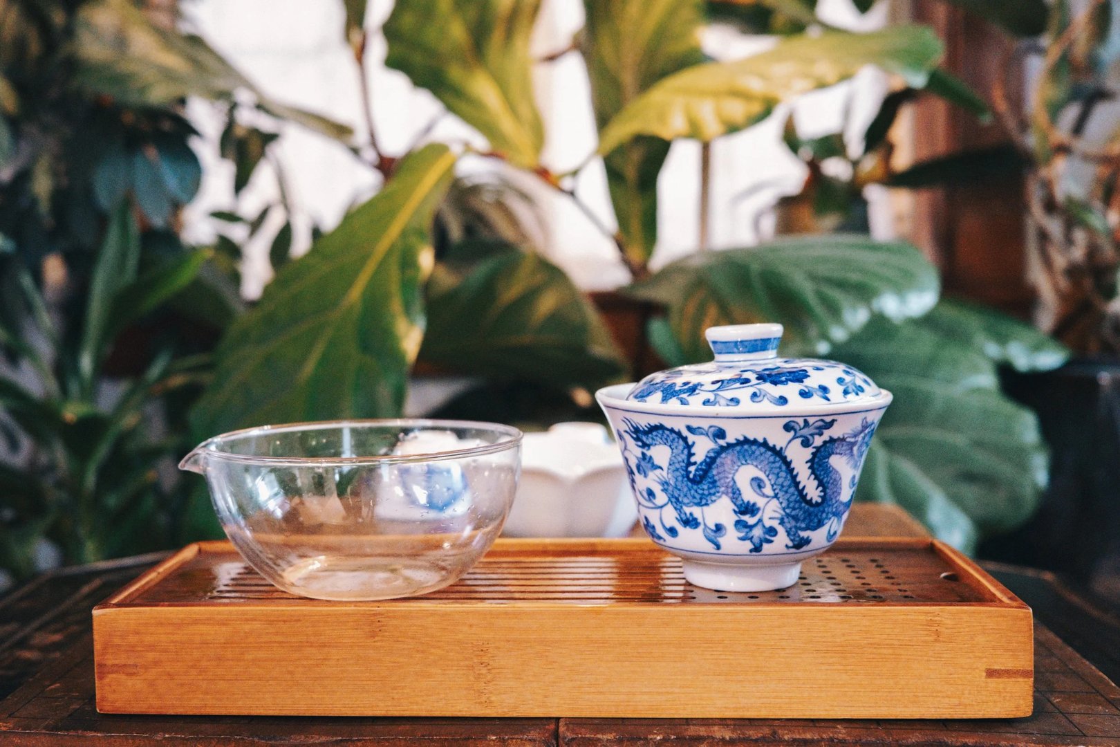 A clear glass bowl and a blue and white porcelain teapot with a dragon design are placed on a bamboo tray, surrounded by leafy plants.
