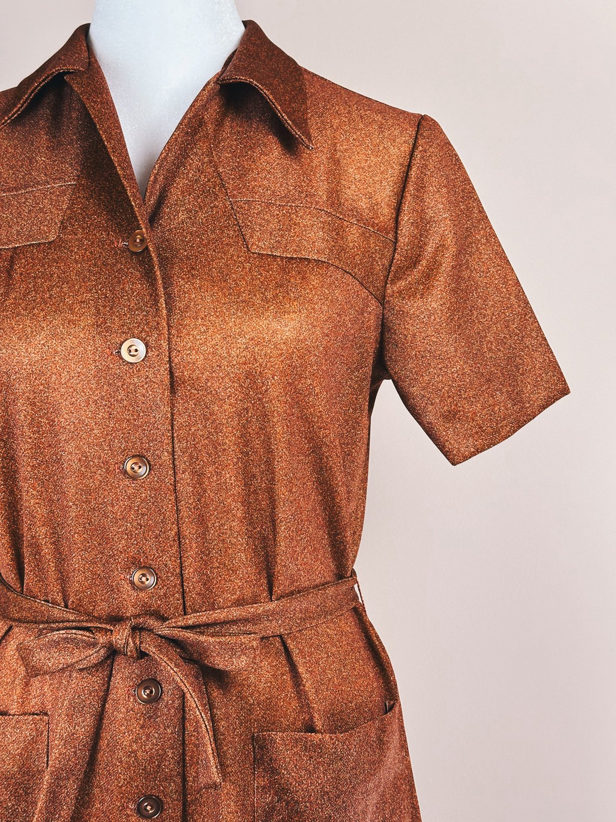 Brown 1970s women's day dress featuring short sleeves, a button-up front, and a tie waist.