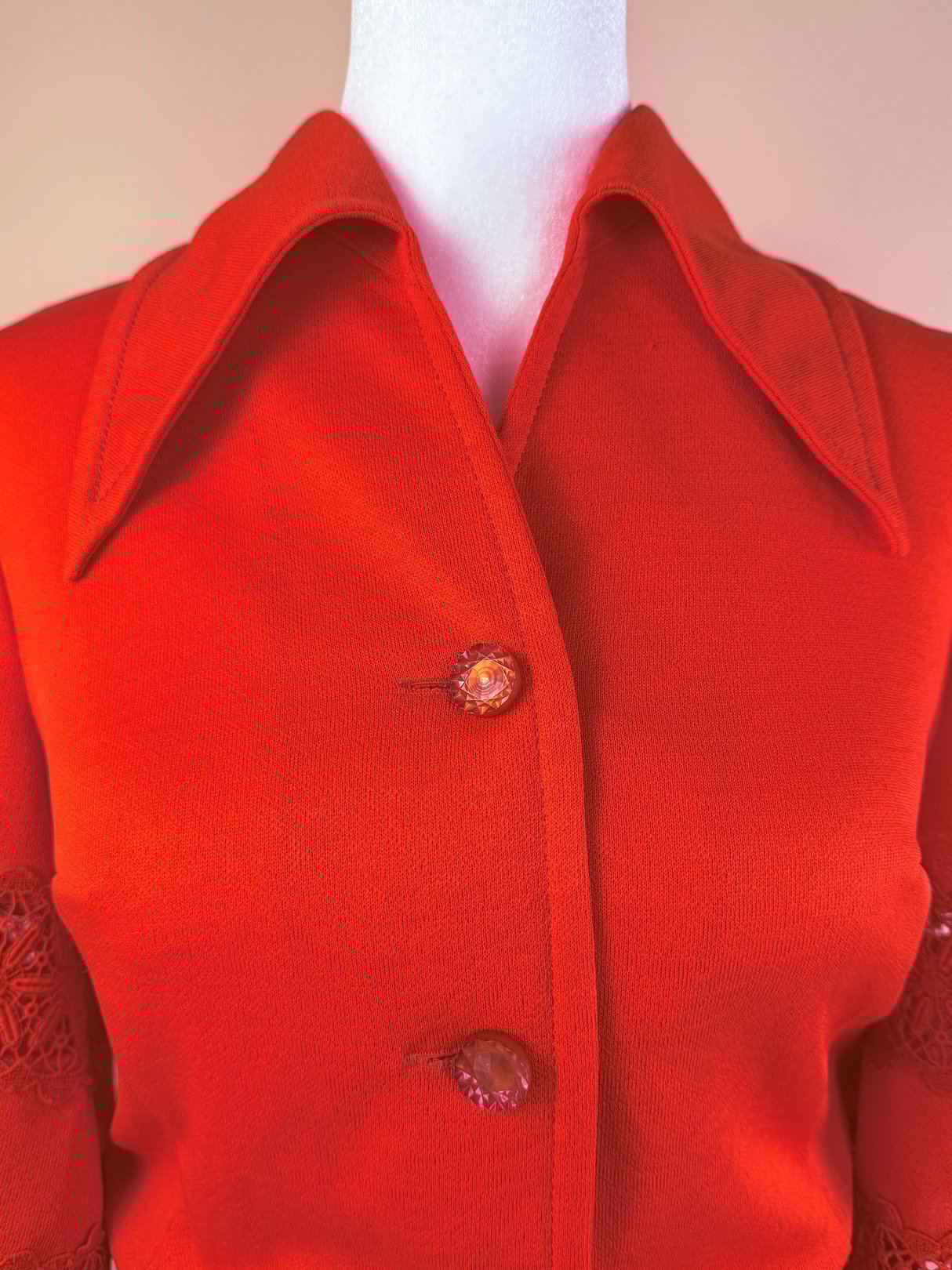 Red 1970s women's Cherry Lace Bell Dress featuring a collar and decorative buttons.