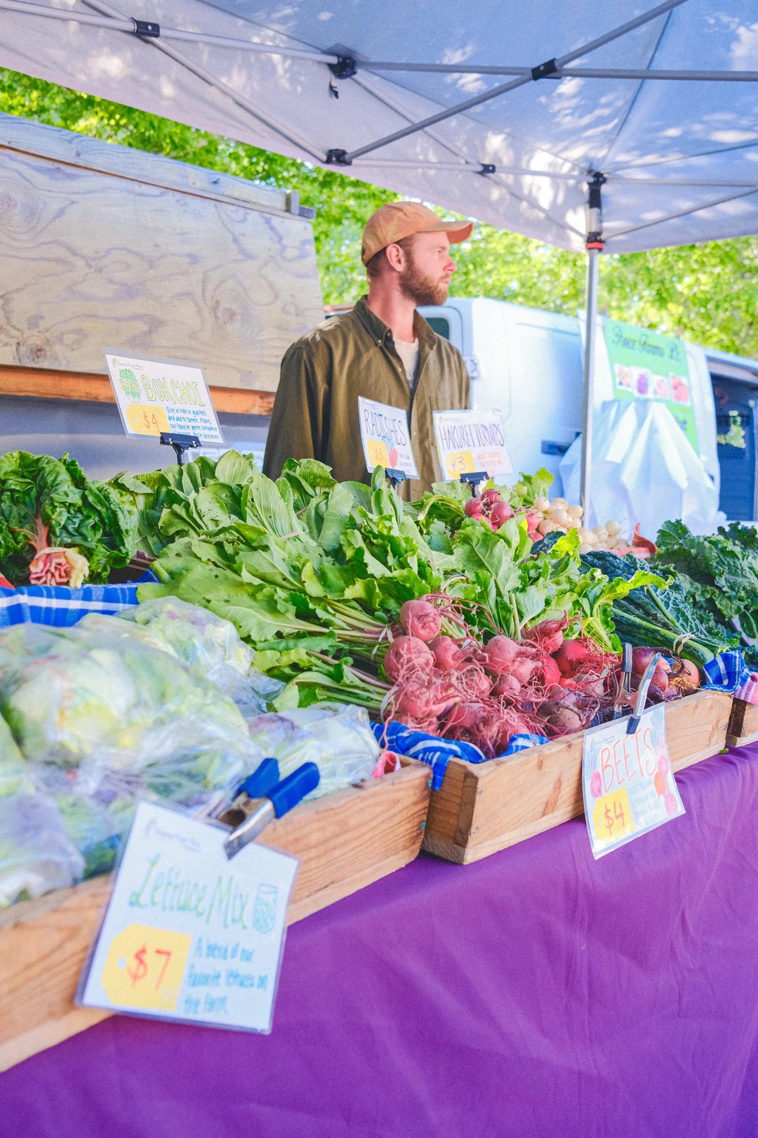 A vendor stands behind a display of various fresh vegetables at a market stall.
