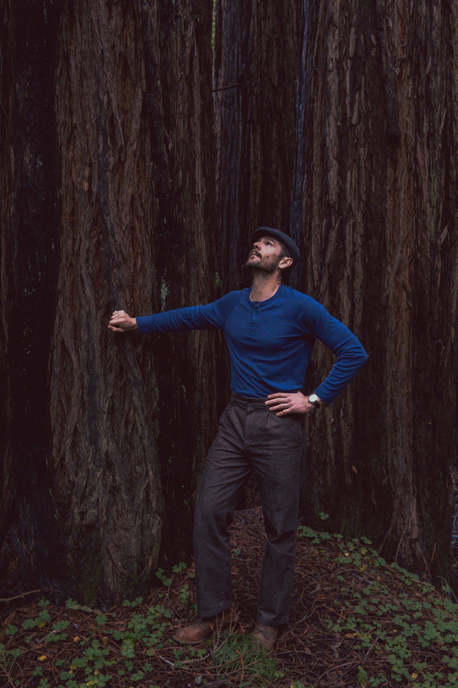 A man in a blue long-sleeve shirt and cap gazes upward while standing next to tall, textured trees in a forest.