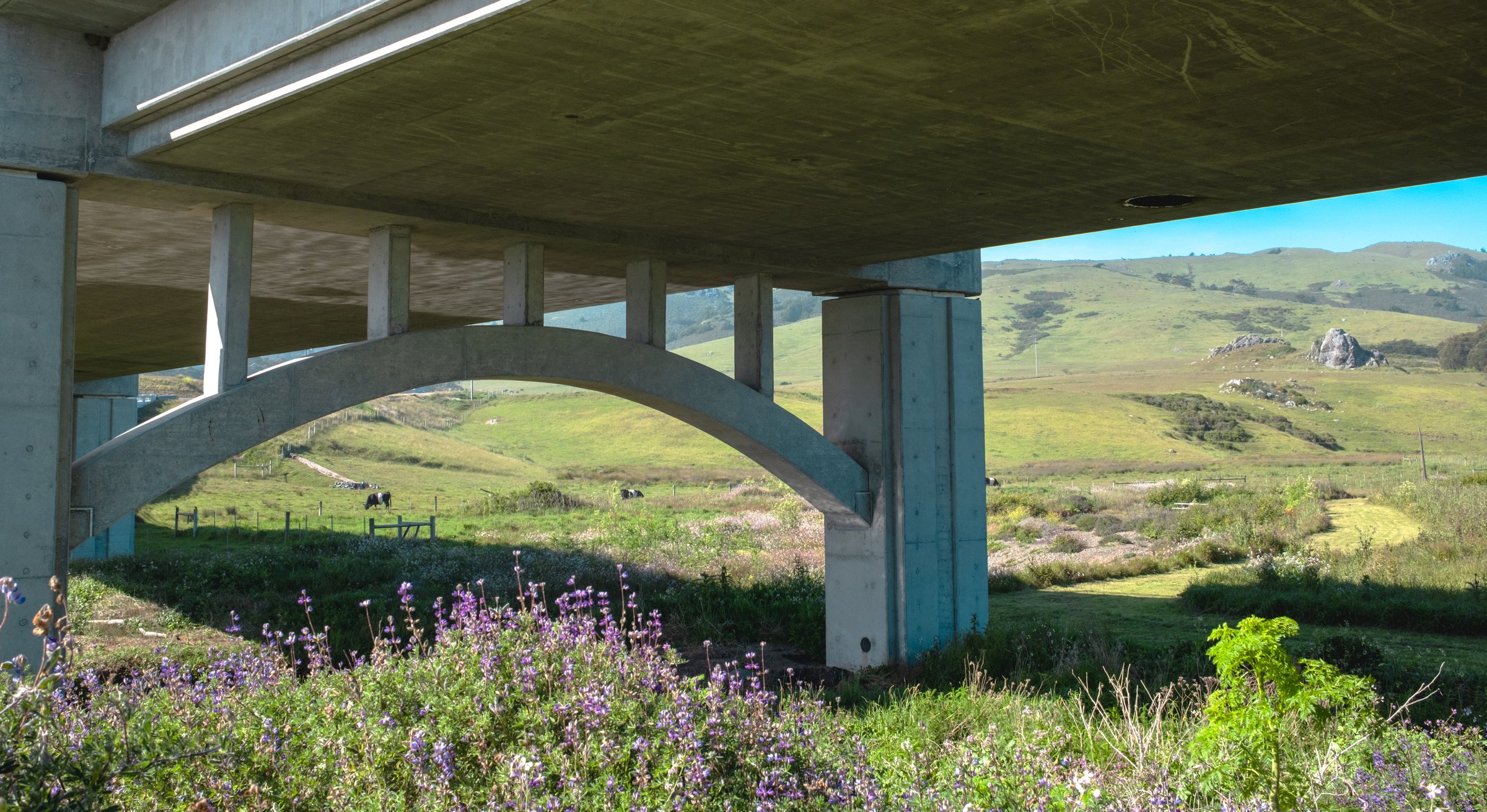 The Road to Bodega Bay gallery image: A concrete overpass arch frames a view of rolling green hills and wildflowers in a rural landscape.