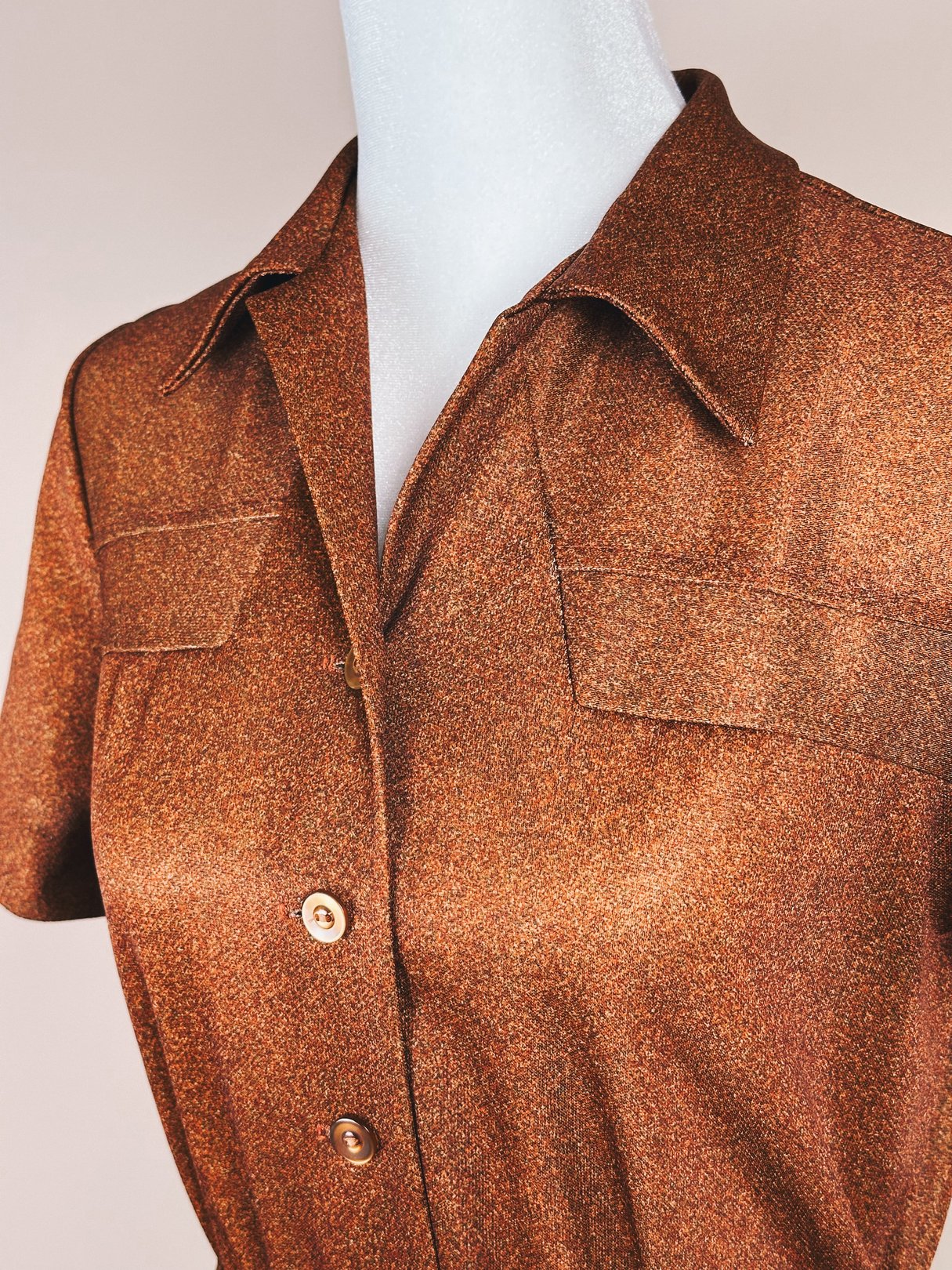 1970s women's brown Where Anywhere Day Dress featuring a collared neckline and button-up front.