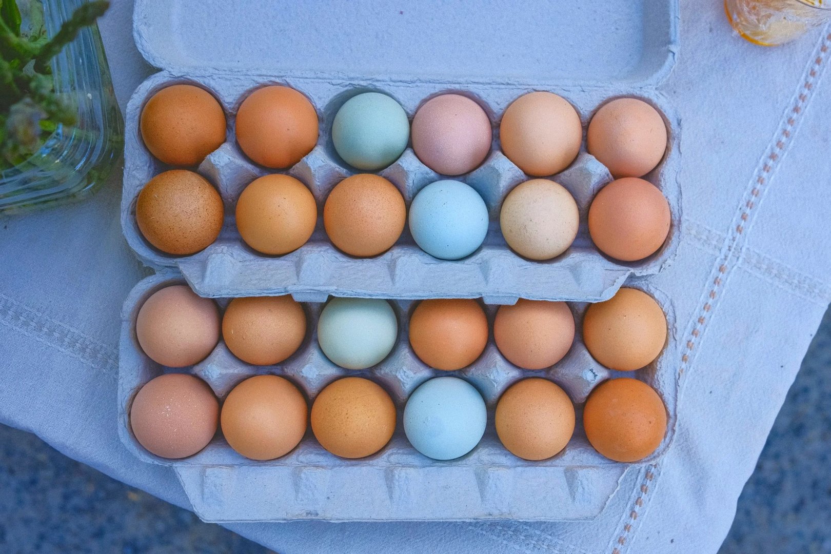 A carton containing twenty-four assorted eggs in various shades of brown and blue.