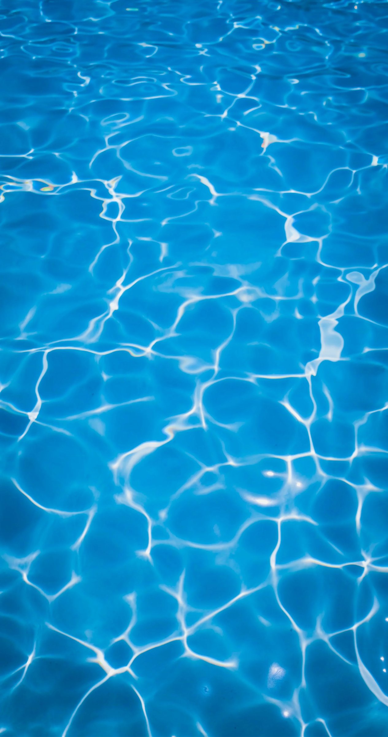 Bright blue water surface with ripples and reflections.
